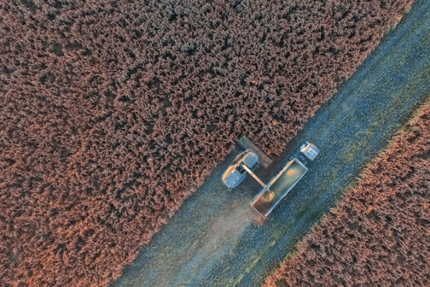 Alfredo Moreira Filho analisa o impacto da irrigação inteligente na produtividade agrícola e na eficiência do campo diante das novas demandas do agronegócio.