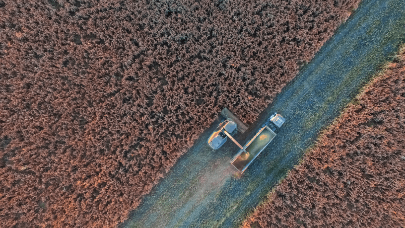 Alfredo Moreira Filho analisa o impacto da irrigação inteligente na produtividade agrícola e na eficiência do campo diante das novas demandas do agronegócio.